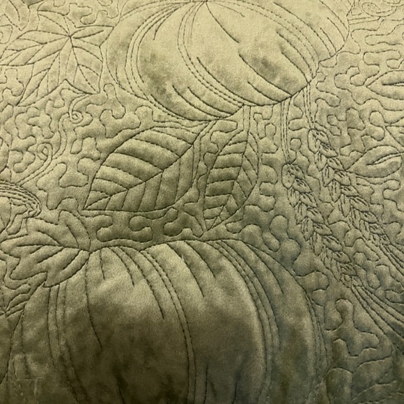 Autumn Hill velveteen olive green autumn cushions - Picture 3 of 6